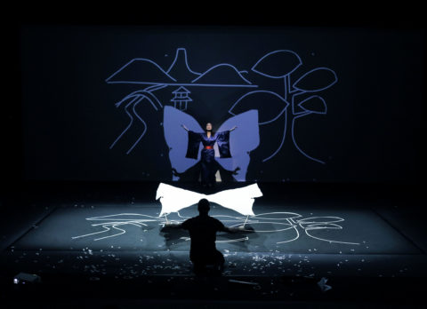 Butterfly